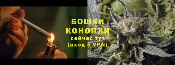 шишки Инсар