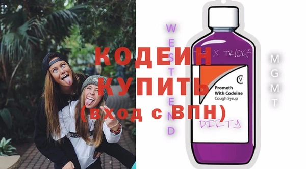 шишки Инсар
