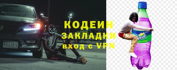 шишки Инсар