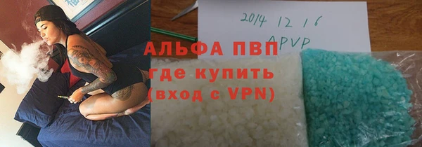 шишки Инсар