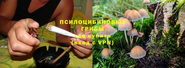 шишки Инсар