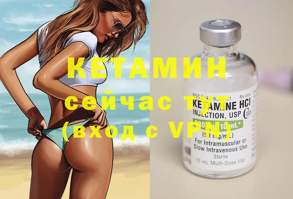 шишки Инсар