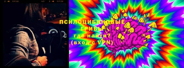 шишки Инсар
