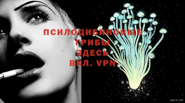 шишки Инсар