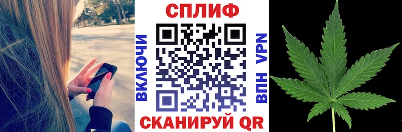 Купить  Гай  Конопля MAZAR 